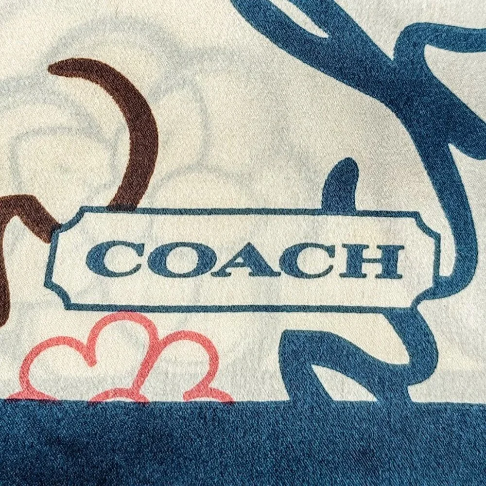 Coach classic pure